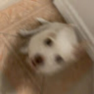 Meet your Posher, Valeria